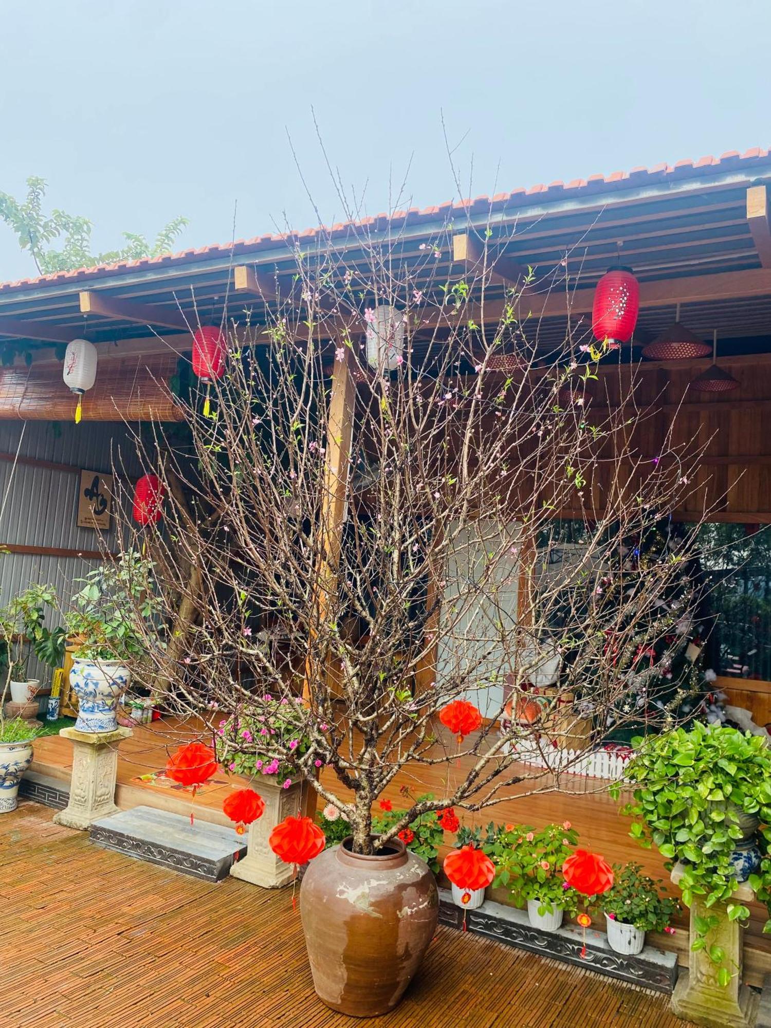 An Homestay Tam Coc Ninh Bình Ngoại thất bức ảnh