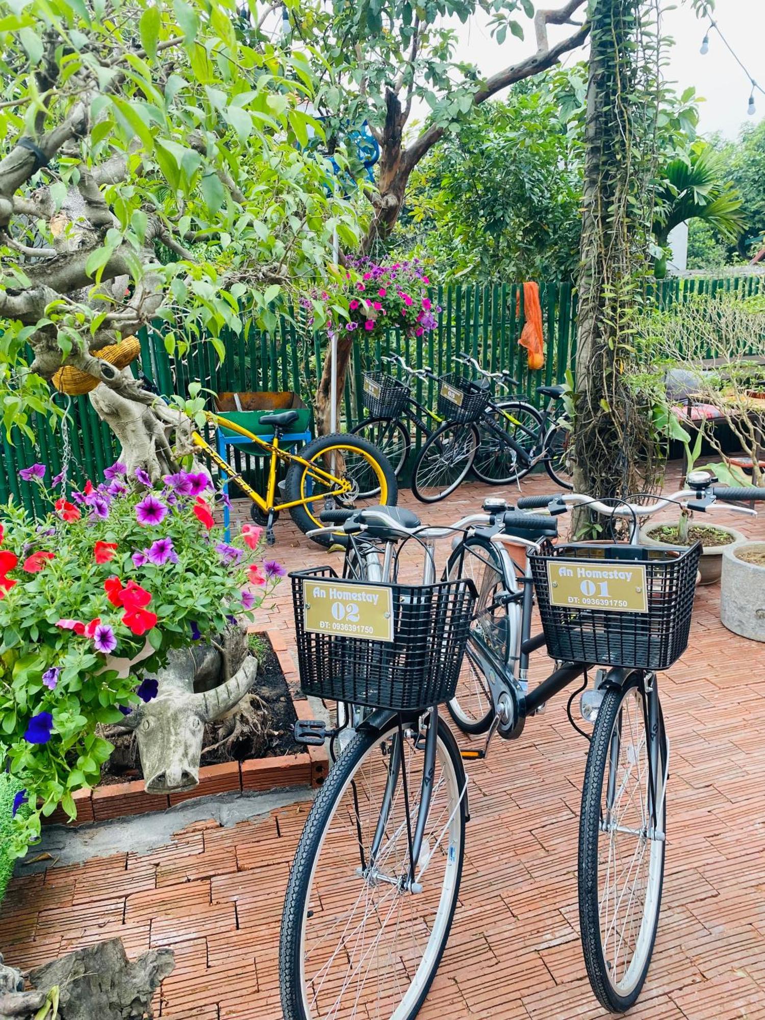 An Homestay Tam Coc Ninh Bình Ngoại thất bức ảnh