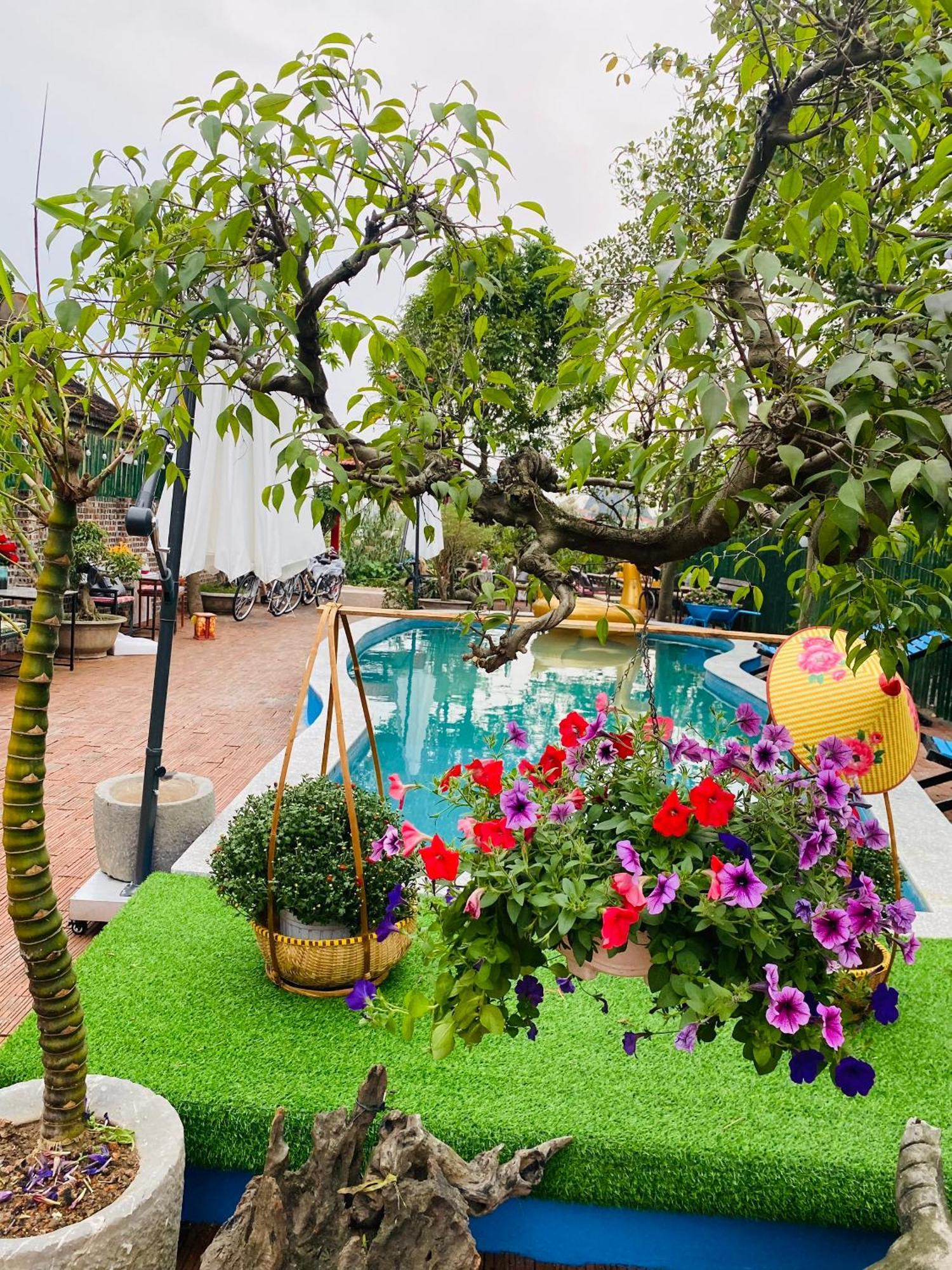 An Homestay Tam Coc Ninh Bình Ngoại thất bức ảnh
